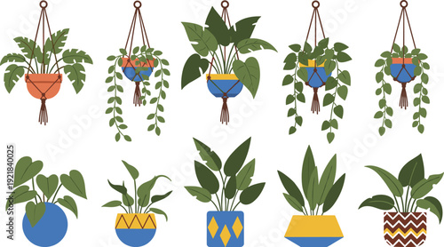 Set of hand drawn vector hanging plants in colorful macrame planters and potted houseplants, monstera, pothos, and foliage for decor,