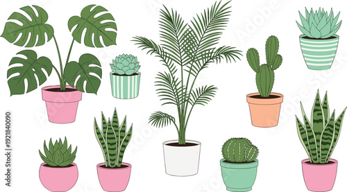 Hand drawn houseplant vector set featuring monstera, palm, snake plants, and cacti in colorful pots, isolated on white for home decor.