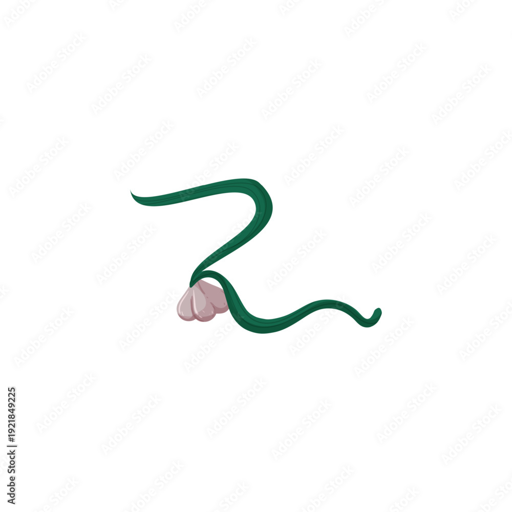 Fototapeta premium Vector illustration of a dark pink curved letter Z.