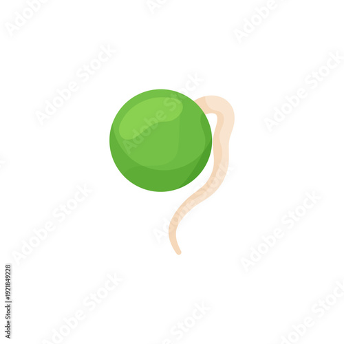 Vector illustration of a green pea with a white comma shape coming out.