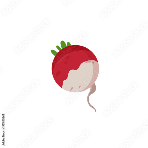 Vector illustration of a red and white radish with a green top forming a Q letter shape.
