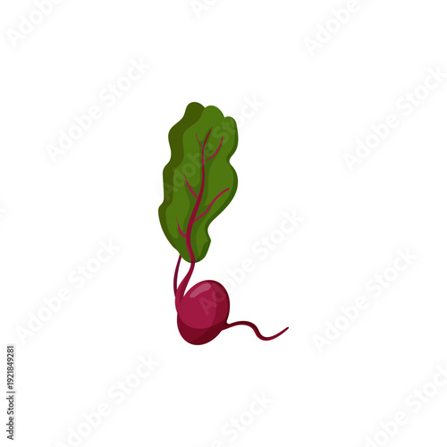 Vector illustration of a red beetroot with green leaves forming the letter L shape.
