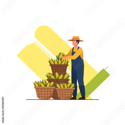 Farmer Harvesting Corn With Baskets Full Of Fresh Produce