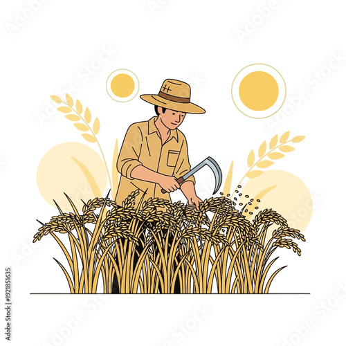 Farmer Harvesting Golden Rice Field With Sickle During Sunset