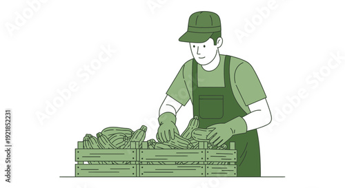 Farmer Sorting Fresh Zucchinis In A Wooden Crate