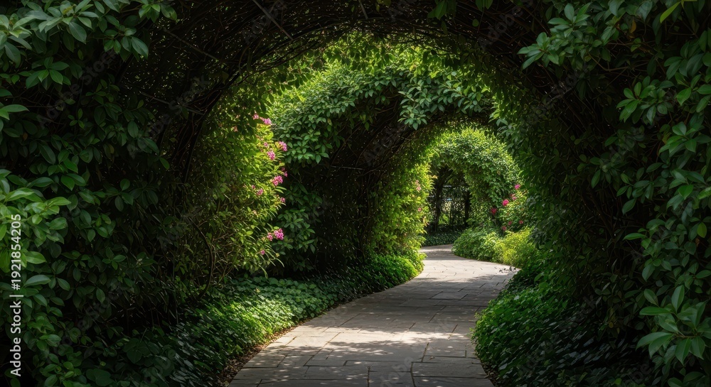 Fototapeta premium A winding stone walkway heavily shaded by dense overhead canopy and abundant lush green foliage, leading through a tranquil, hidden garden landscape, path, secluded, tropical