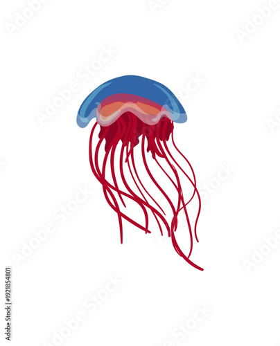 Vector illustration of a blue and red striped jellyfish with red tentacles.
