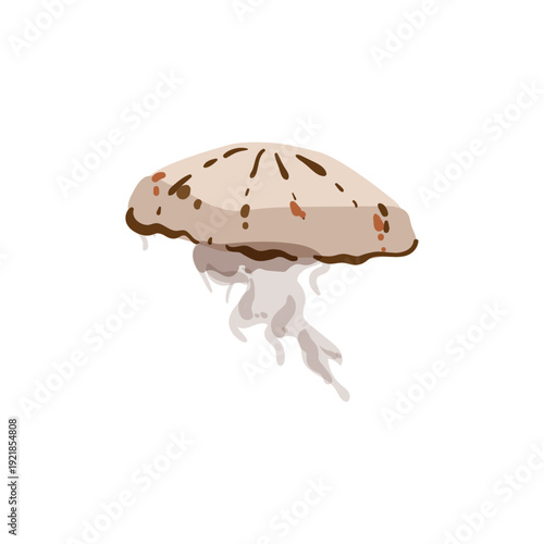 Vector illustration of a brown jellyfish with spots and thin tentacles.