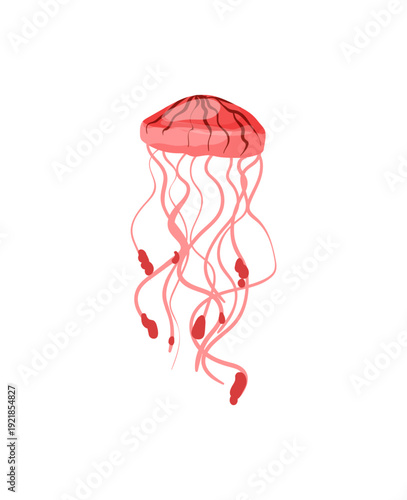 Vector illustration of a red delicate jellyfish with thin tentacles.