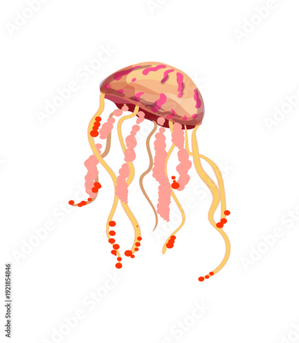 Vector illustration of a pink and orange jellyfish with dotted tentacles.