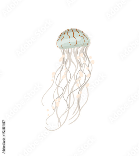 Vector illustration of a light gray jellyfish with long thin tentacles.