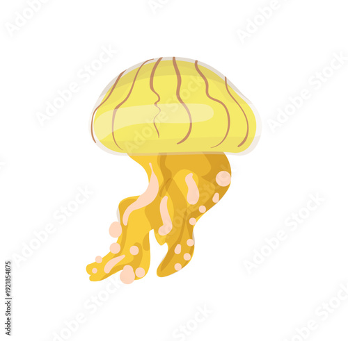 Vector illustration of a yellow jellyfish with stripes and short tentacles.