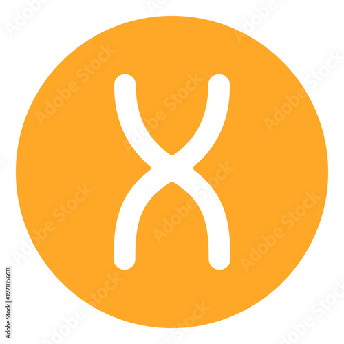 Chromosome Vector Icon
