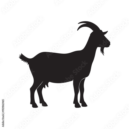 goat silhouette isolated on white back ground