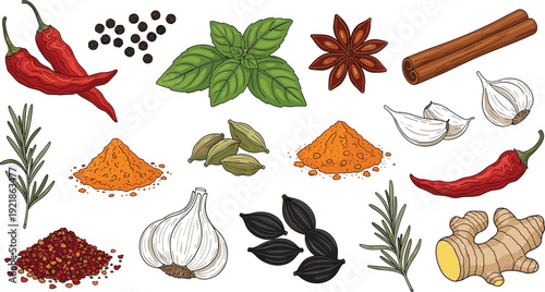 Hand Drawn Spice and Herb Collection Vector Illustration Chili Garlic Ginger Cinnamon Pepper Botanical Ingredient Set