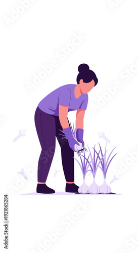 Gardener Harvesting Fresh Produce From Organic Farm Rows