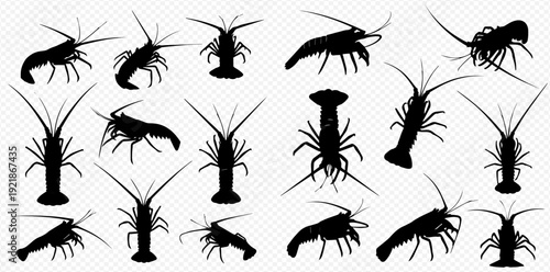 A collection of black lobster and crayfish silhouettes in various poses on a transparent background.