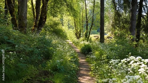 Relaxing natural pathway surrounded by lush greenery and flowers
