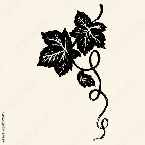 Vintage Grape Leaf Vine Botanical Illustration