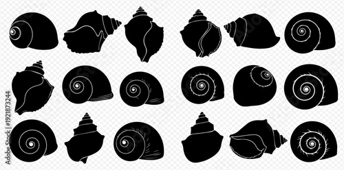 A diverse collection of black seashell silhouettes isolated on a transparent background.