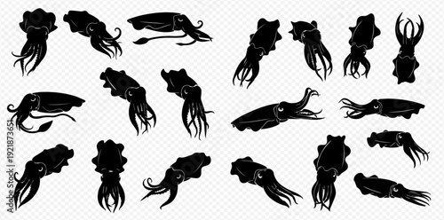 A collection of black cuttlefish silhouettes in various dynamic poses on a transparent background.