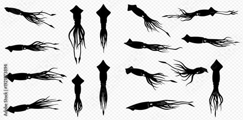 A comprehensive collection of black squid silhouettes in various swimming and floating poses on a transparent background.