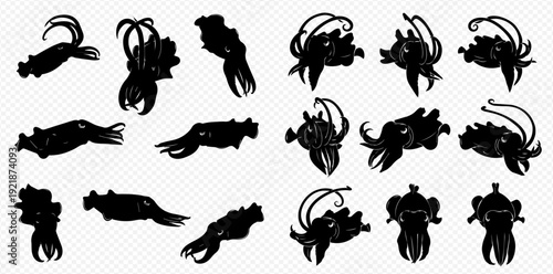 A collection of black squid and cuttlefish silhouettes in various dynamic poses, isolated for design use.