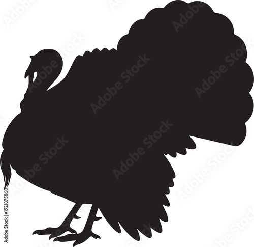 Turkey bird silhouette vector illustration showing multiple poses of wild and domestic turkeys, perfect for Thanksgiving, wildlife design, farming, and holiday