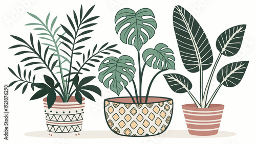 Tropical Houseplants in Decorative Pots for Interior Design Web Banners and Home Decor Blogs