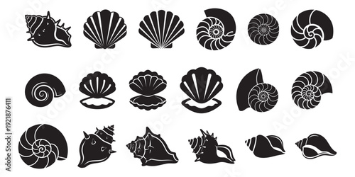 Assortment of Black Seashell Silhouettes and Nautilus Spiral Icons on White Background, Representing Marine Life