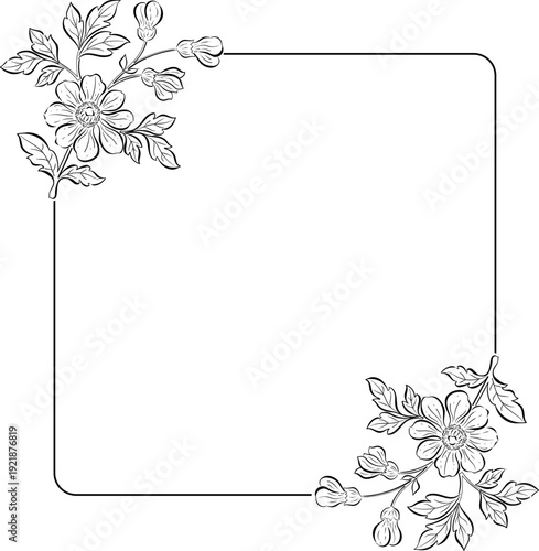 Elegant Vector frame with flower floral elements. Frame with botanical decorative elements.