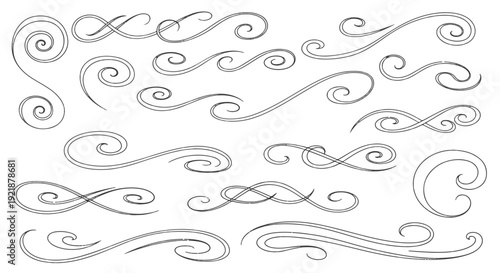 Decorative Swirls and Flourishes Hand Drawn Design Elements Vector Set