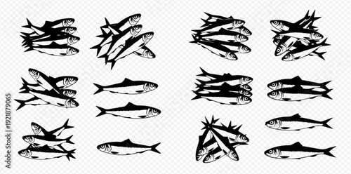 Set of hand-drawn sardine and herring fish illustrations in a vintage graphic style.