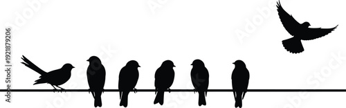 Bird silhouettes collection featuring six perched birds on a wire and one flying bird with wings spread, ideal for wildlife design, illustration, and educational projects