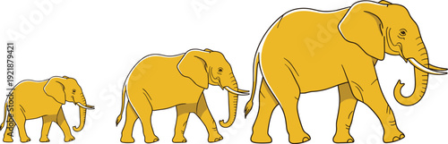 Elephant silhouettes collection showing growth stages from baby to adult with tusks, walking in line, perfect for wildlife design, illustration, and educational creative projects