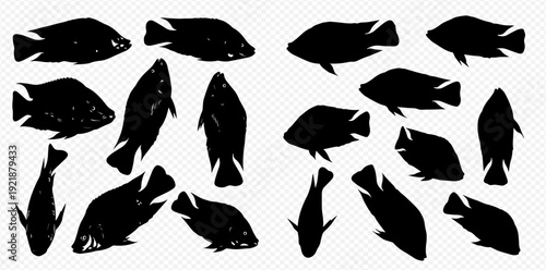 A diverse collection of black fish silhouettes shown from multiple angles on a transparent background.