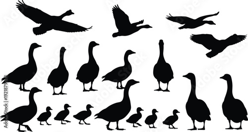 Goose silhouettes collection featuring flying, standing, and walking geese with goslings, showcasing diverse wing positions and body postures, perfect for wildlife design and educational projects