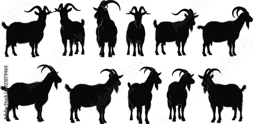 Goat silhouettes collection featuring diverse horn shapes, body postures, and fur details, ideal for wildlife design, illustration, farming projects, and educational creative use