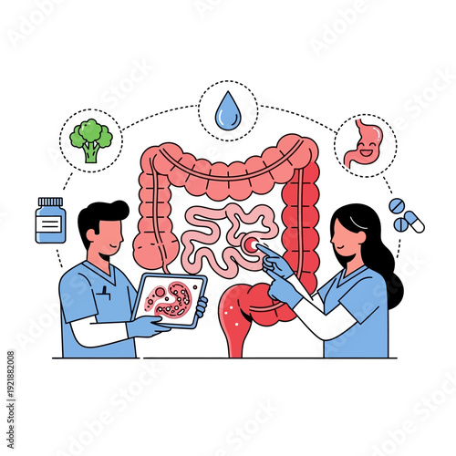 Doctors examine human intestines, showing digestive system health and medical treatment.
