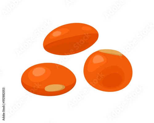Lentil isolated on white background. Vector cartoon flat illustration. Food icon.