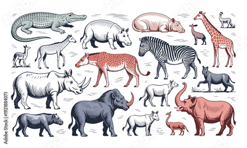 Collection of various wild african animals, exotic savanna fauna vector illustration