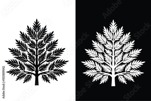 Larch vector icon graphic isolated sketch illustration on white background.