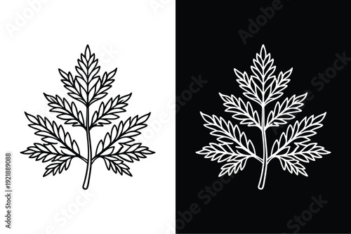 Larch vector icon graphic isolated sketch illustration on white background.