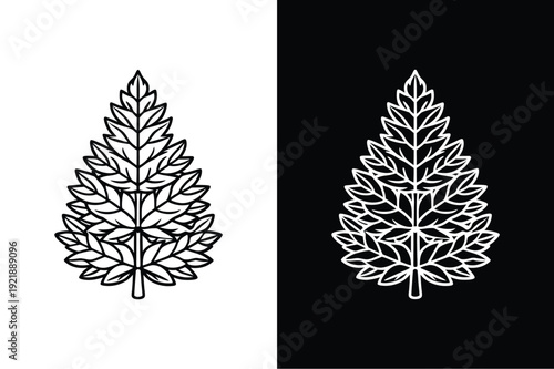 Larch vector icon graphic isolated sketch illustration on white background.