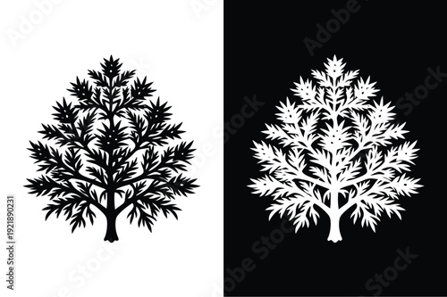 Larch vector icon graphic isolated sketch illustration on white background.
