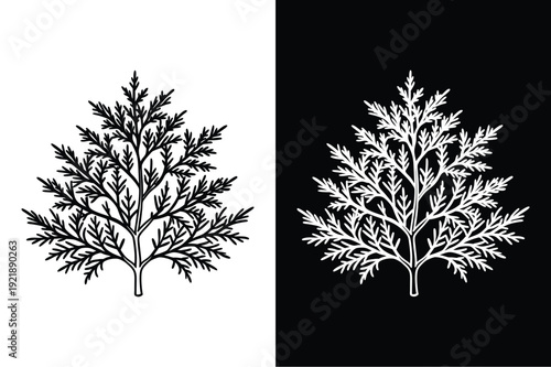 Larch vector icon graphic isolated sketch illustration on white background.