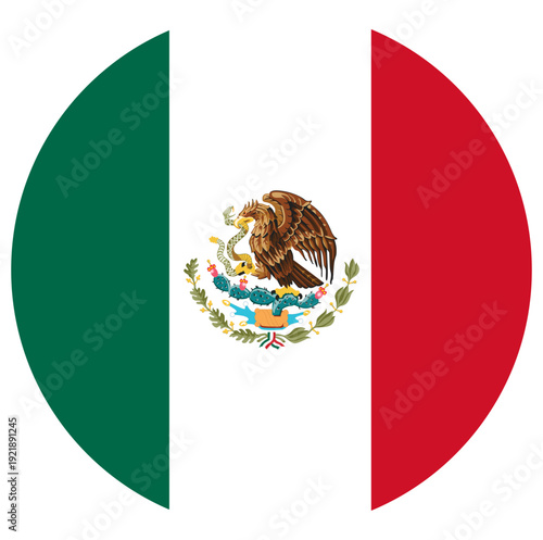 button Mexico flag icon vector illustration sign 