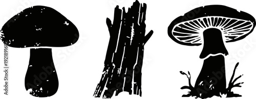black and white ink illustrations of three mushrooms with detailed caps and stems