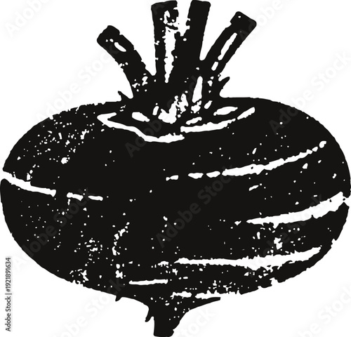 Black turnip vegetable illustration with roots and natural texture in vintage