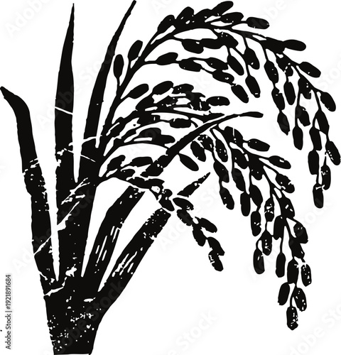 Black silhouette of rice plant with stalks and grains, agricultural crop illustration
